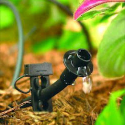 a recently installed drip irrigation line by our Burke sprinkler repair techs