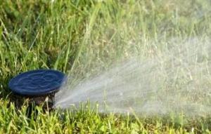 Our Burke Sprinkler Repair techs replace pop up heads