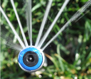 a Hunter rotary head installed by oue Burke sprinkler installation techs